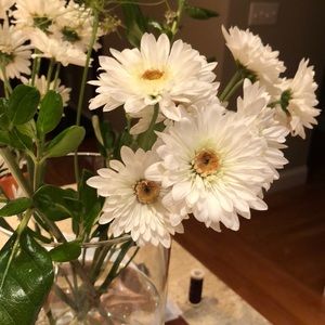 Meet your Posher, Rosa